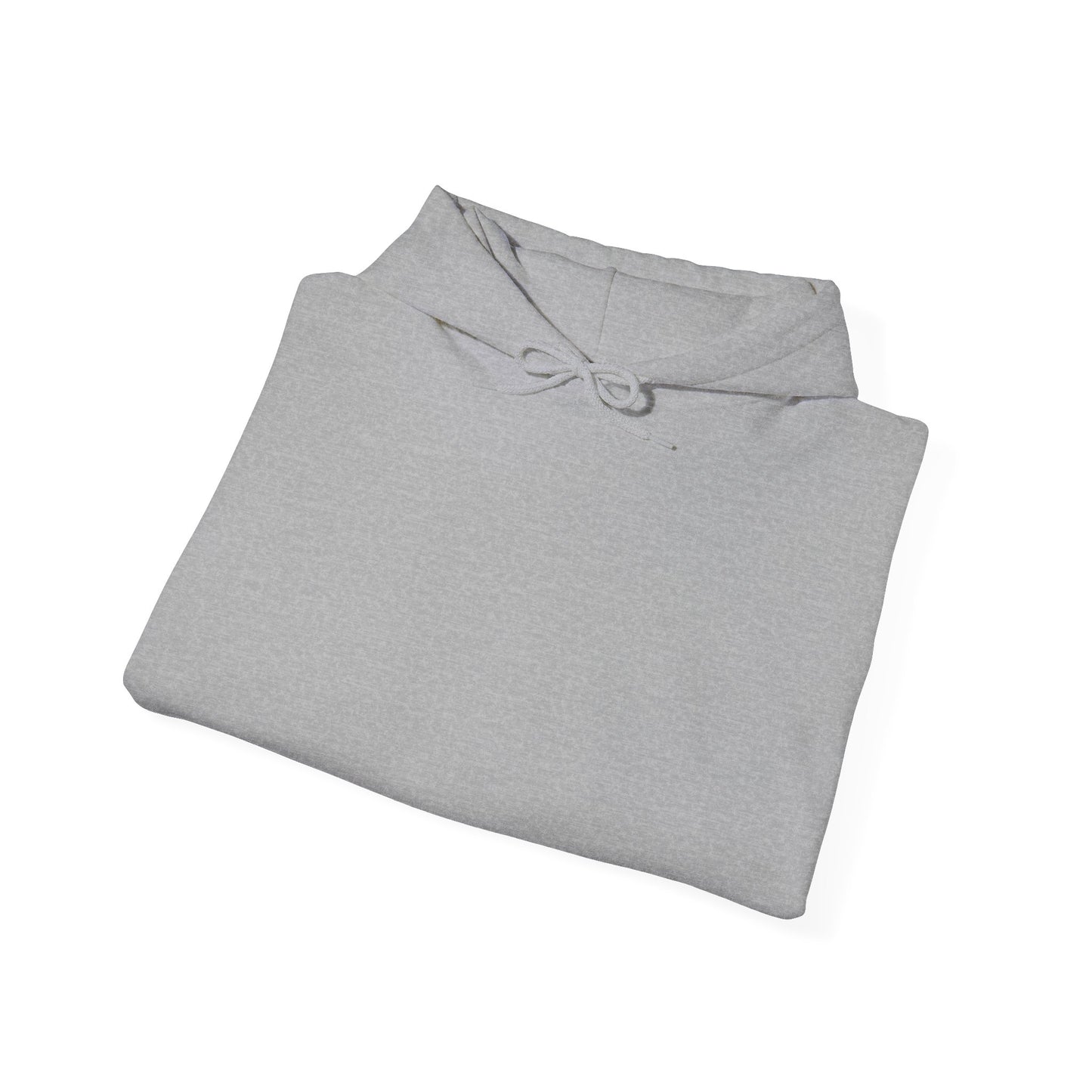 Let Em Run / Unisex adult hoodie