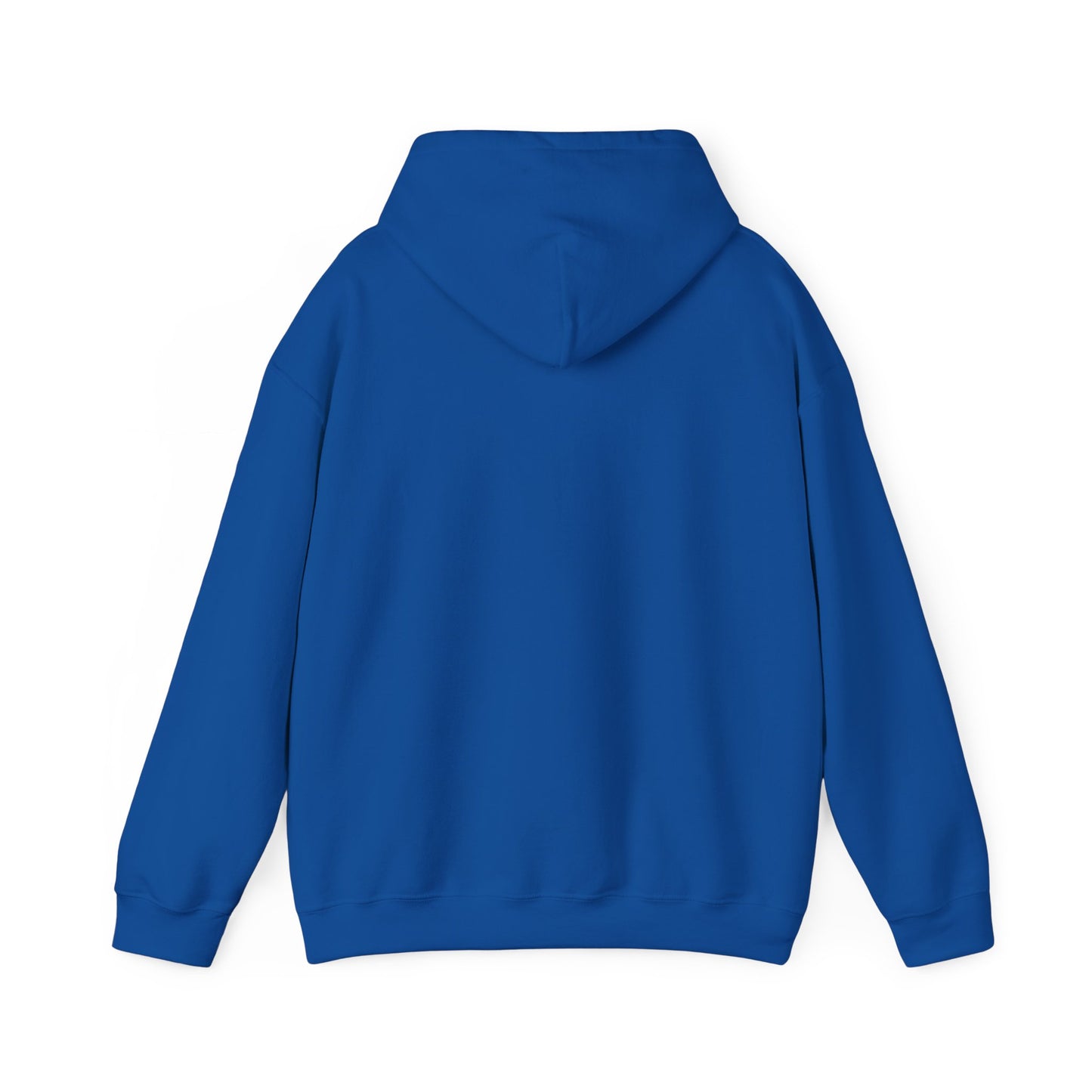 Teal Barn hoodie