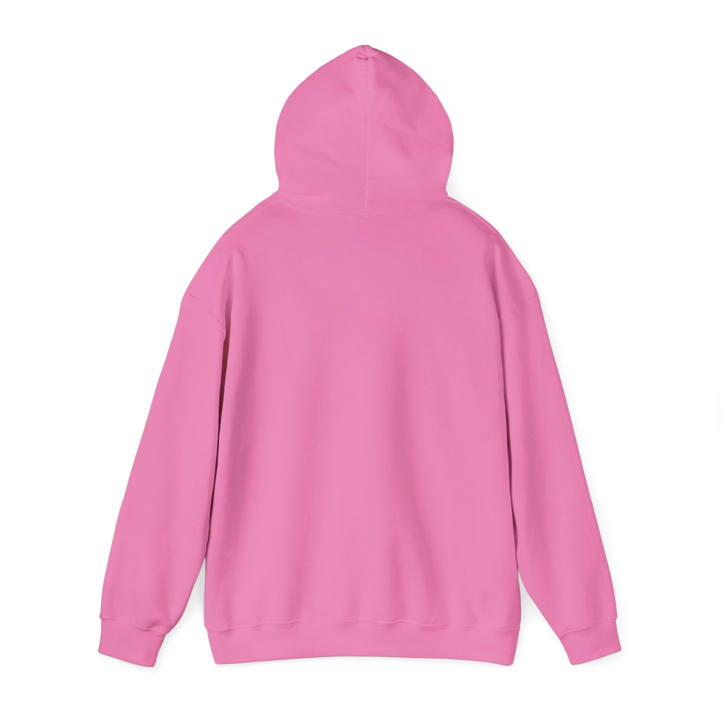 Native women / hoodie
