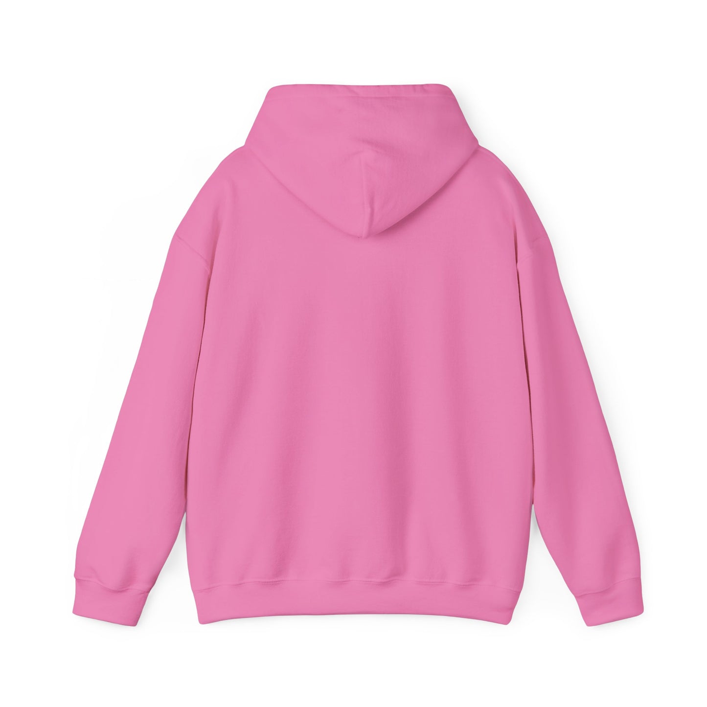 Native women / hoodie