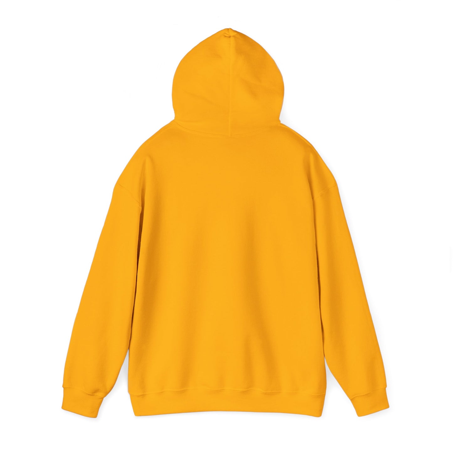 Teal Barn hoodie
