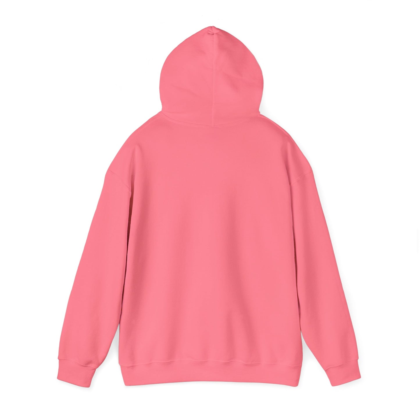 Teal Barn hoodie