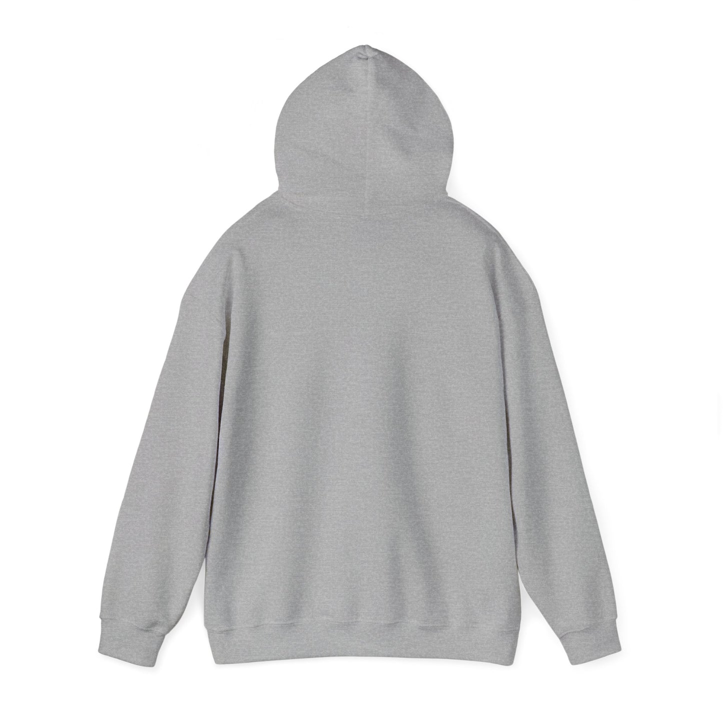 Teal Barn hoodie