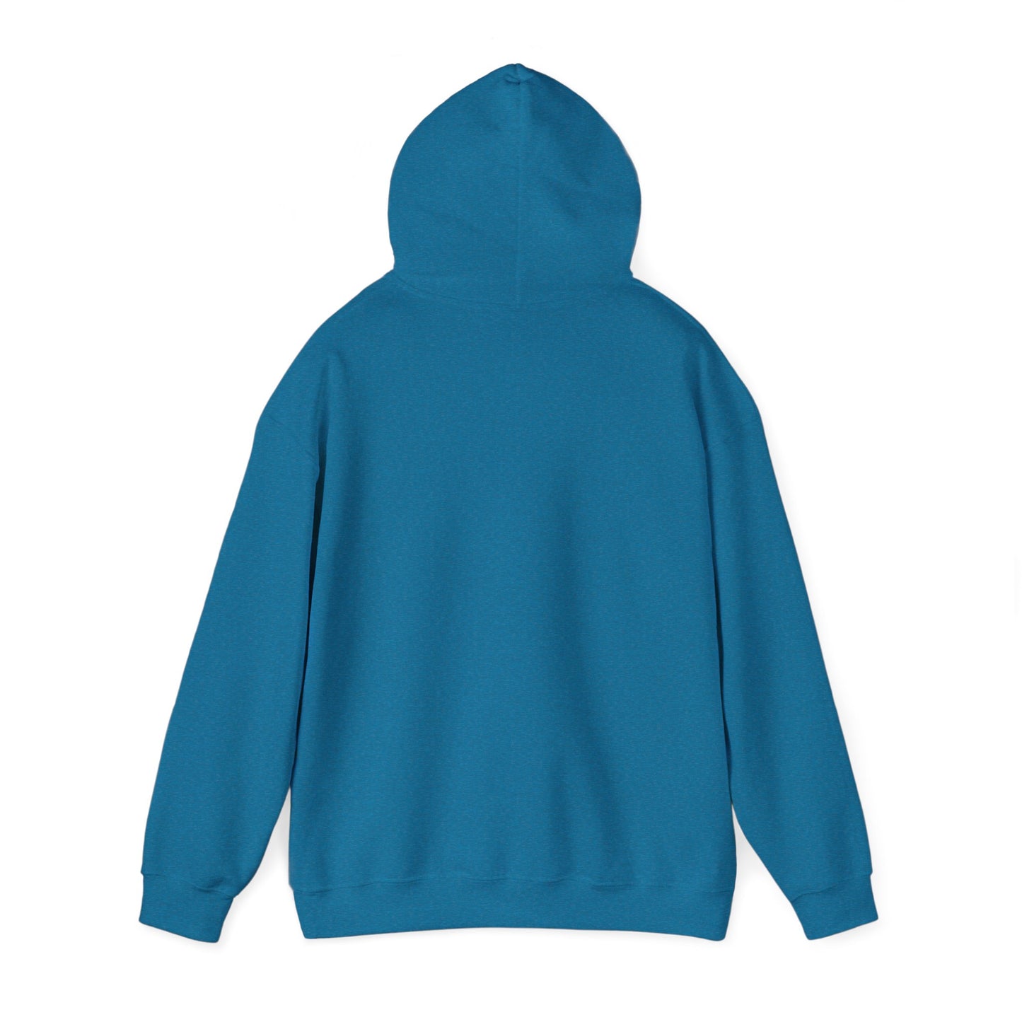 Teal Barn hoodie