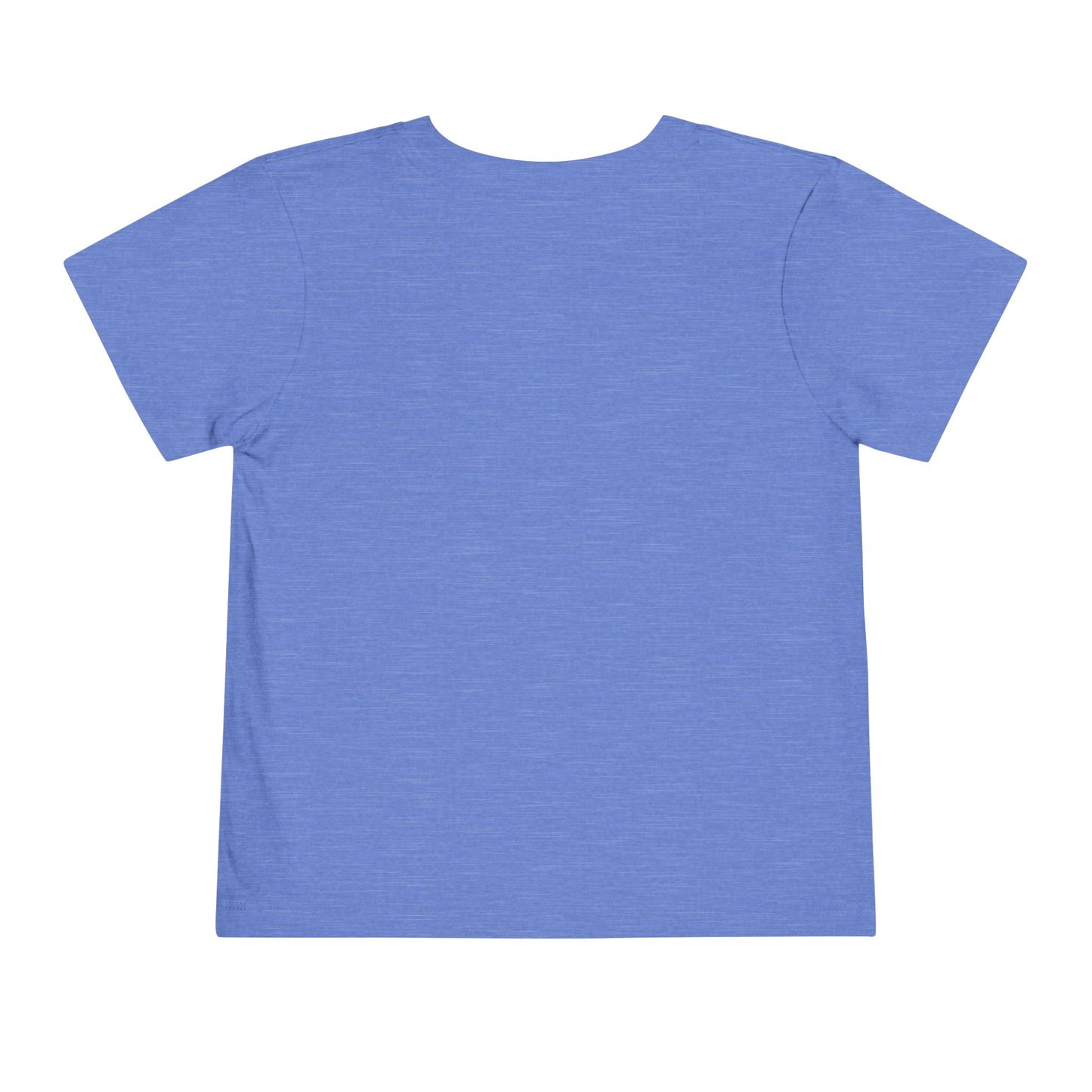 Little miss 4th of July Tshirt