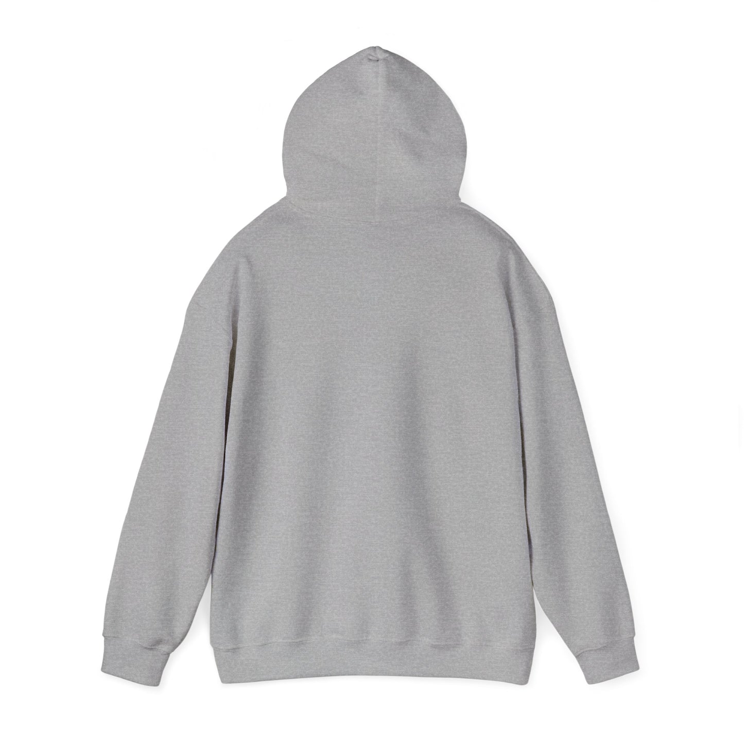 Native women / hoodie
