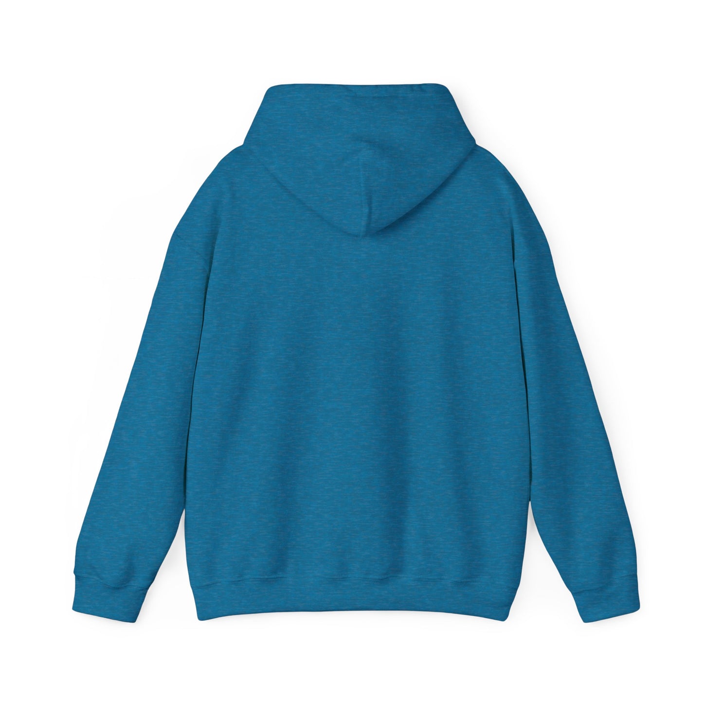 Teal Barn hoodie