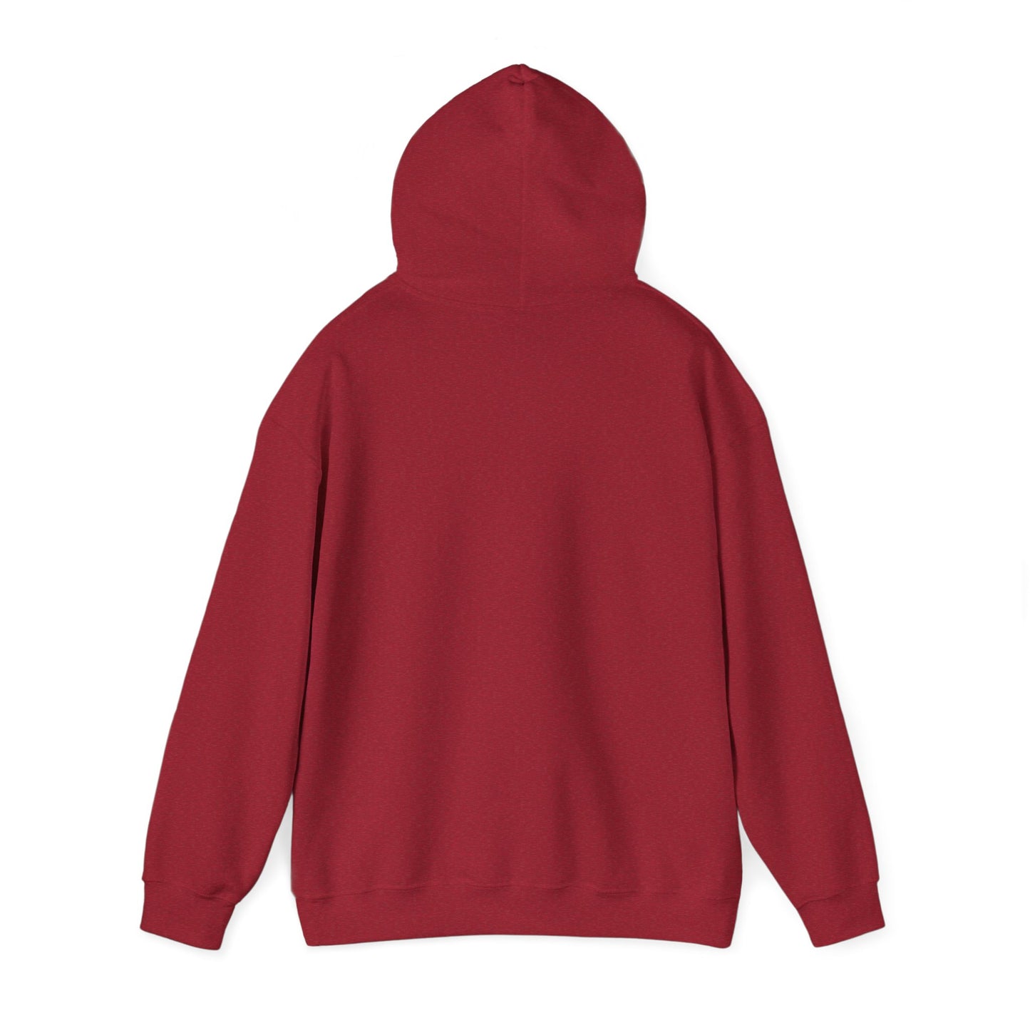Fly lures/ hoodie