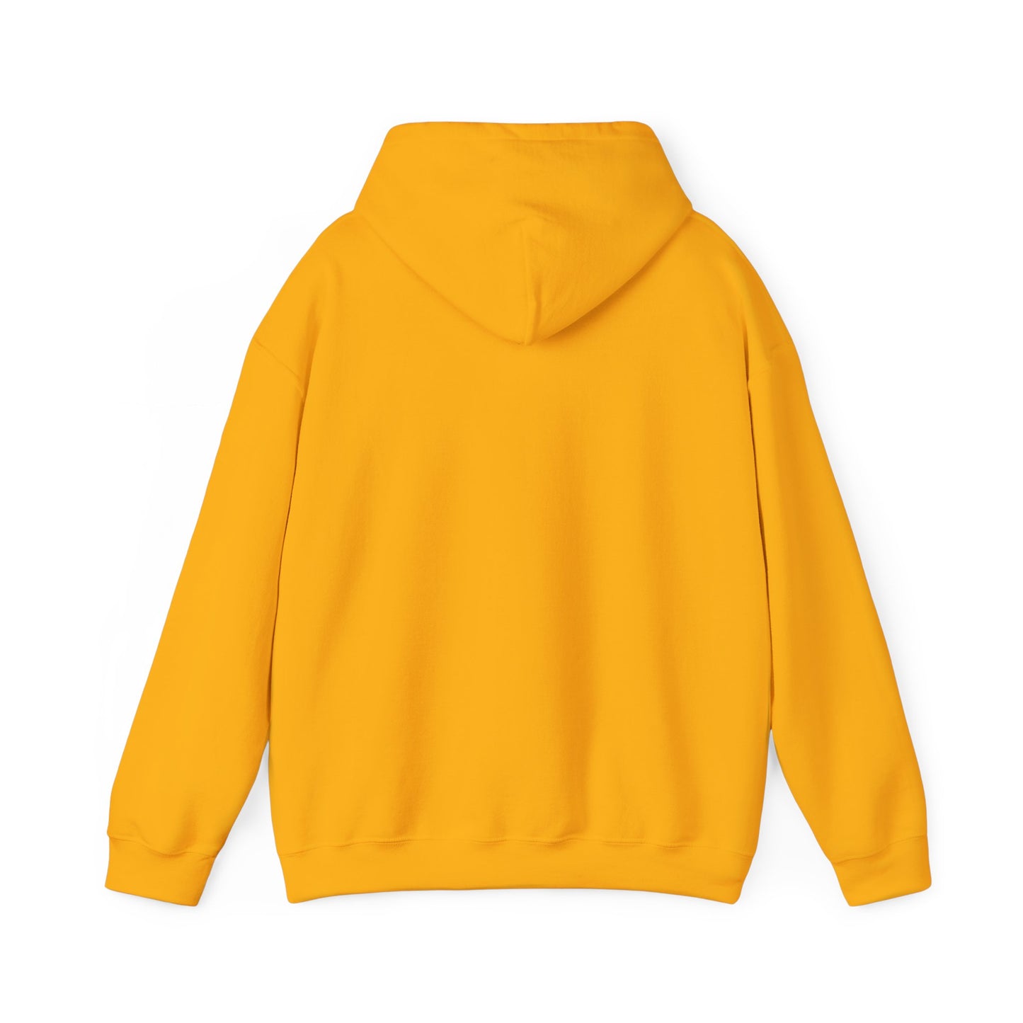 Teal Barn hoodie