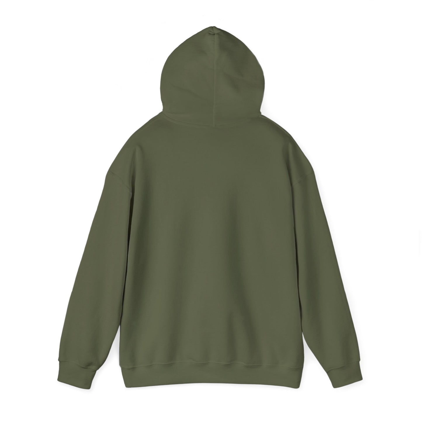 Teal Barn hoodie
