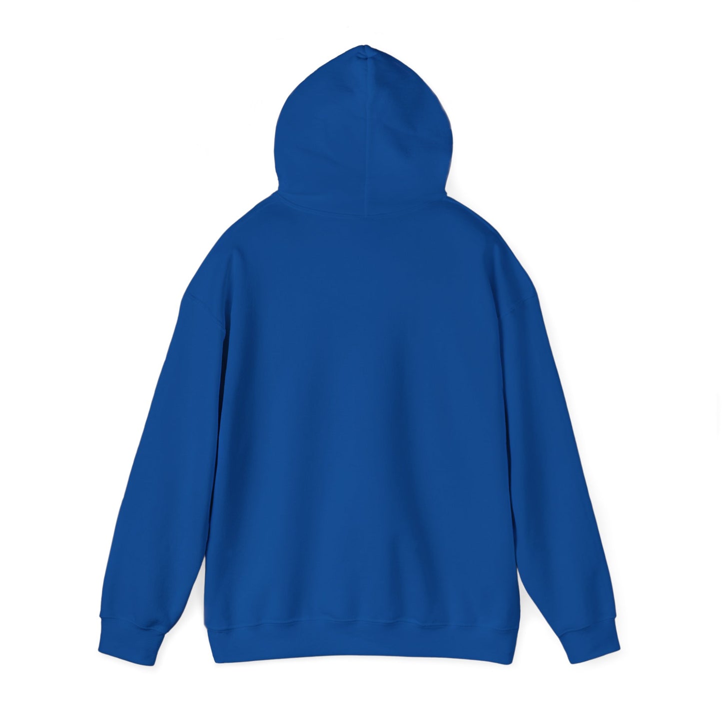 Teal Barn hoodie