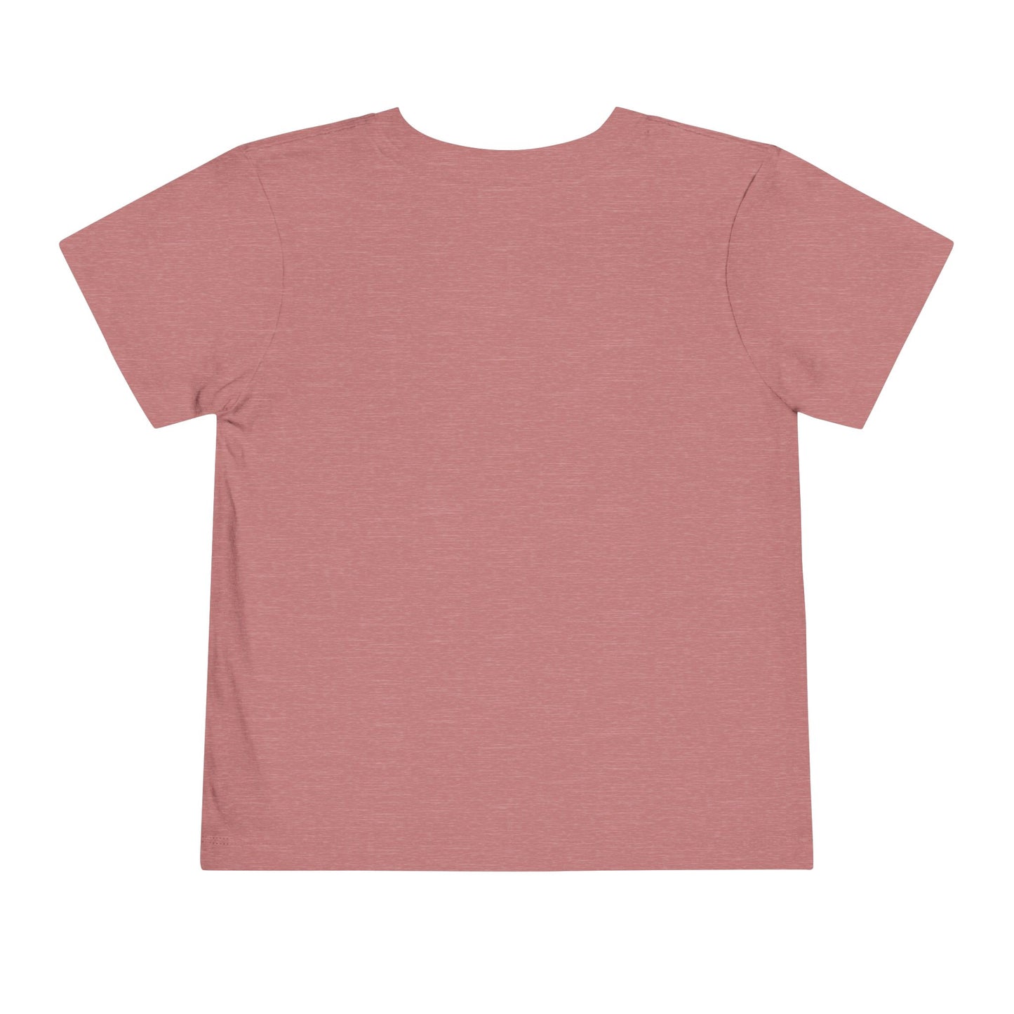 Little miss 4th of July Tshirt