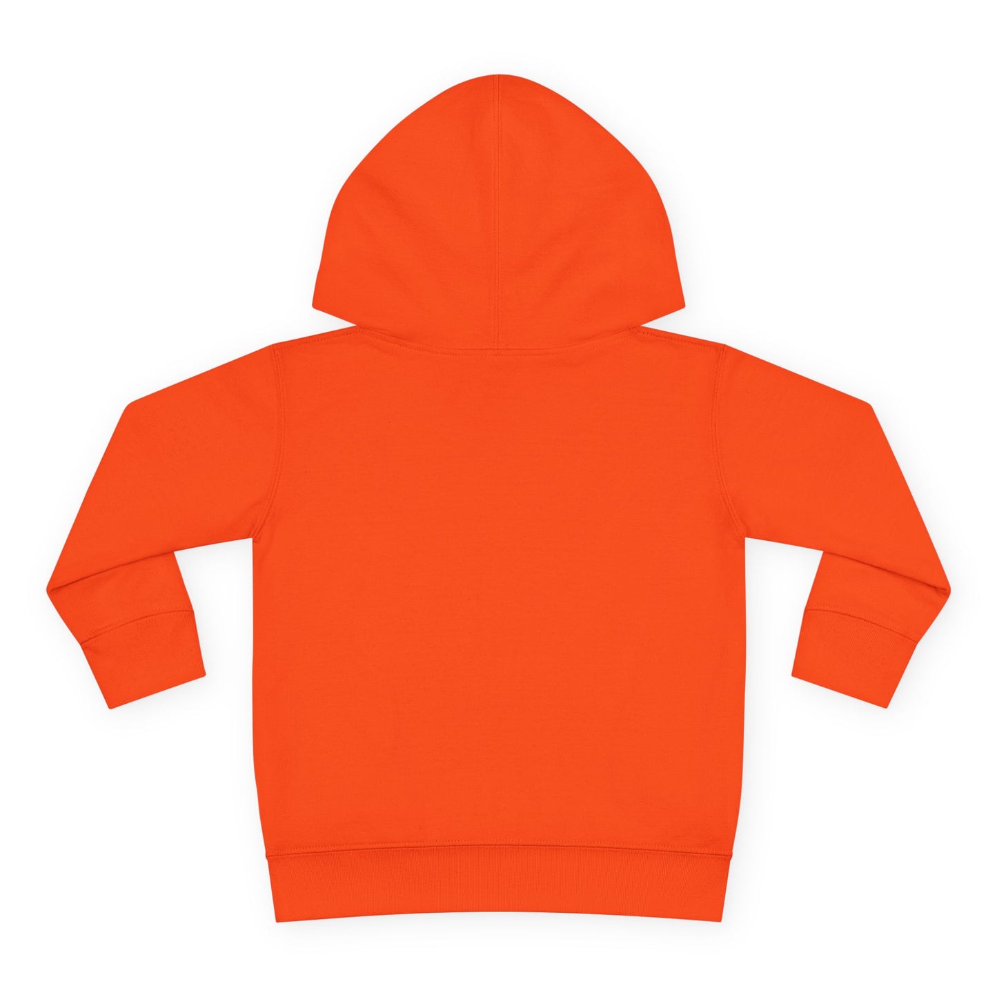 Spooky Dude / Boys Toddler Pullover