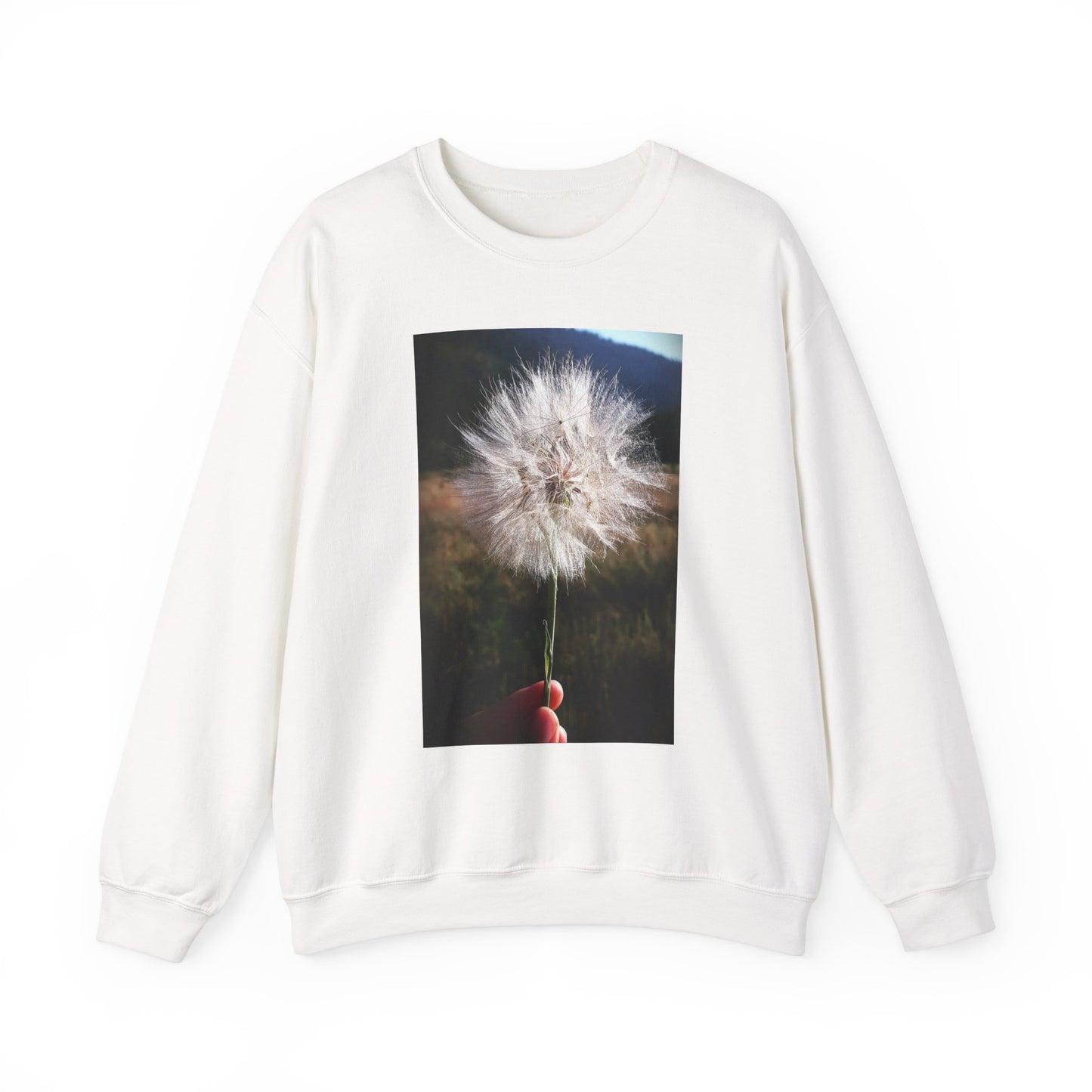 Dandelion sweatshirt