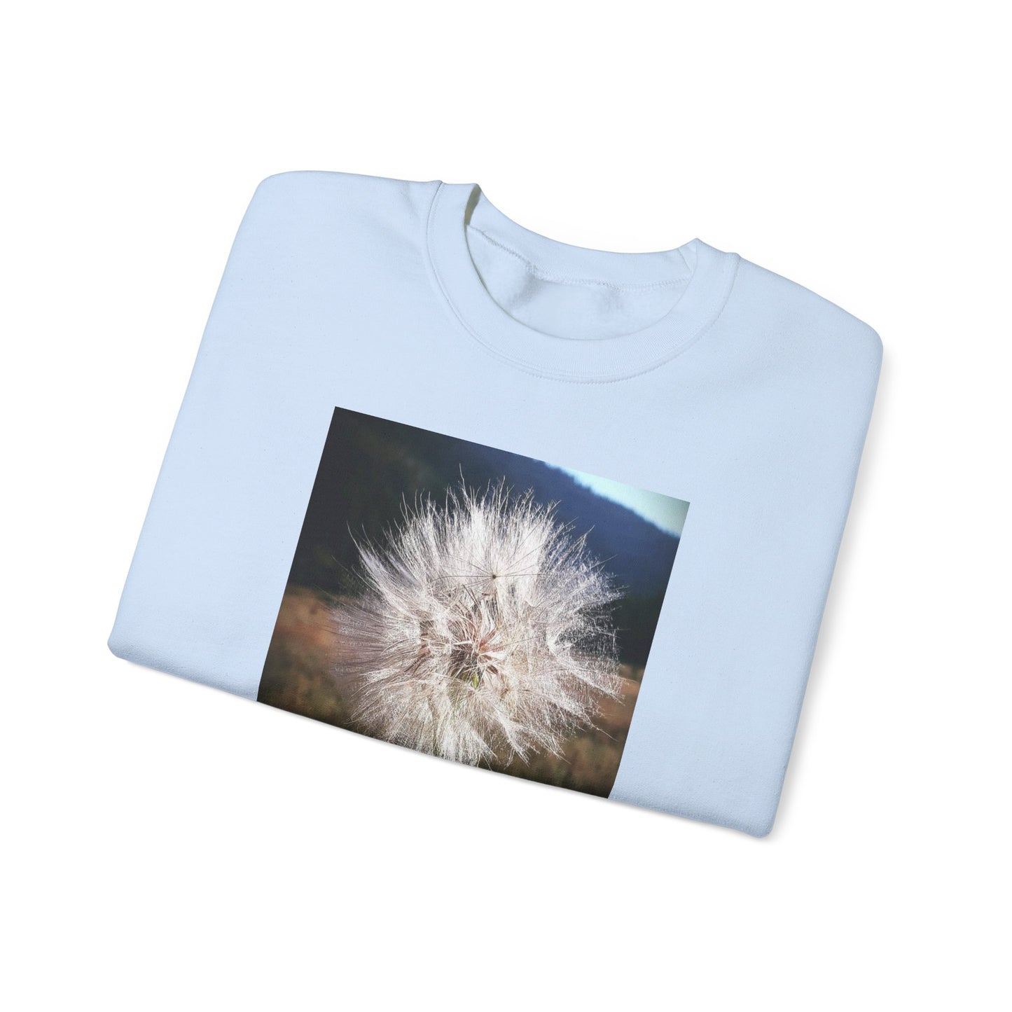 Dandelion sweatshirt
