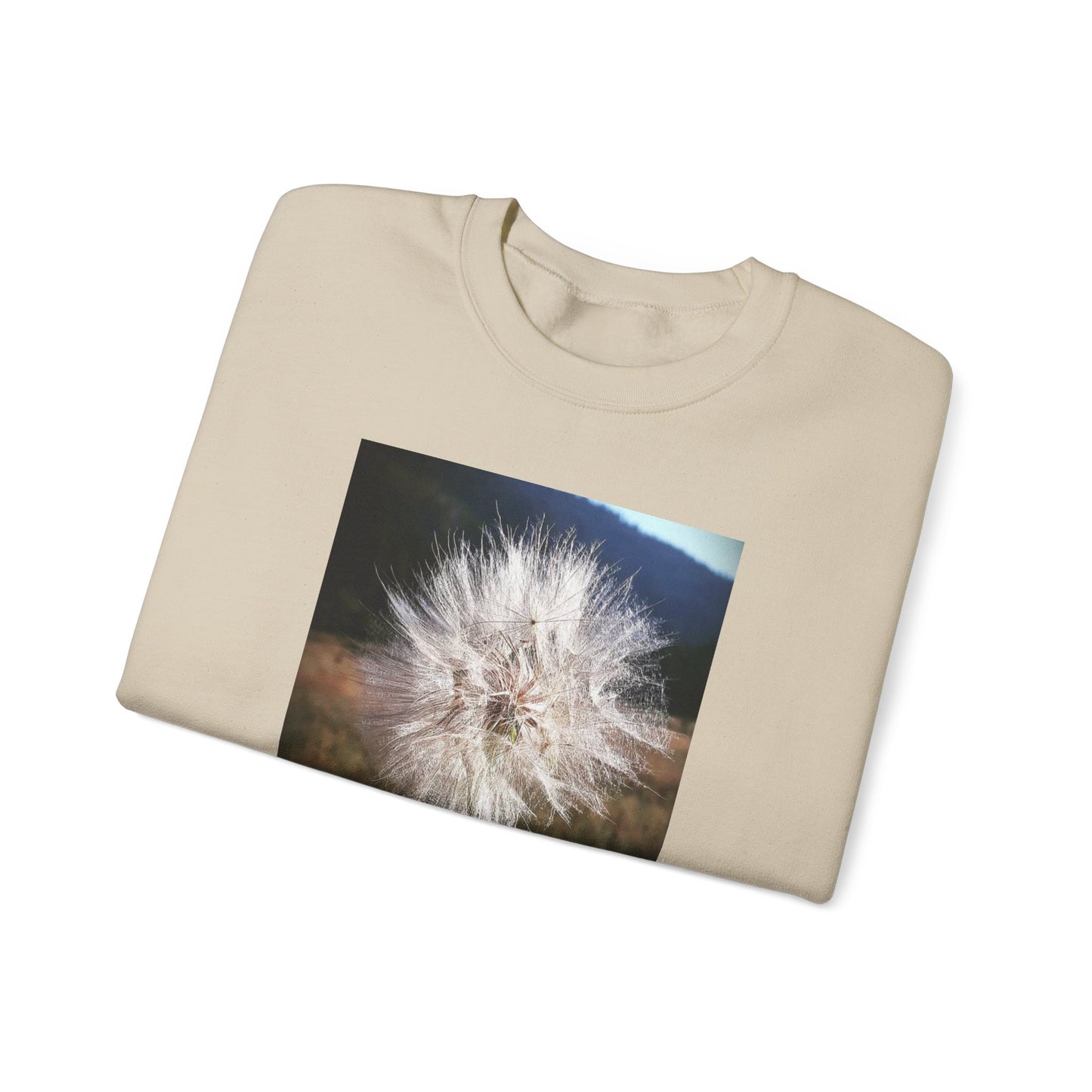 Dandelion sweatshirt