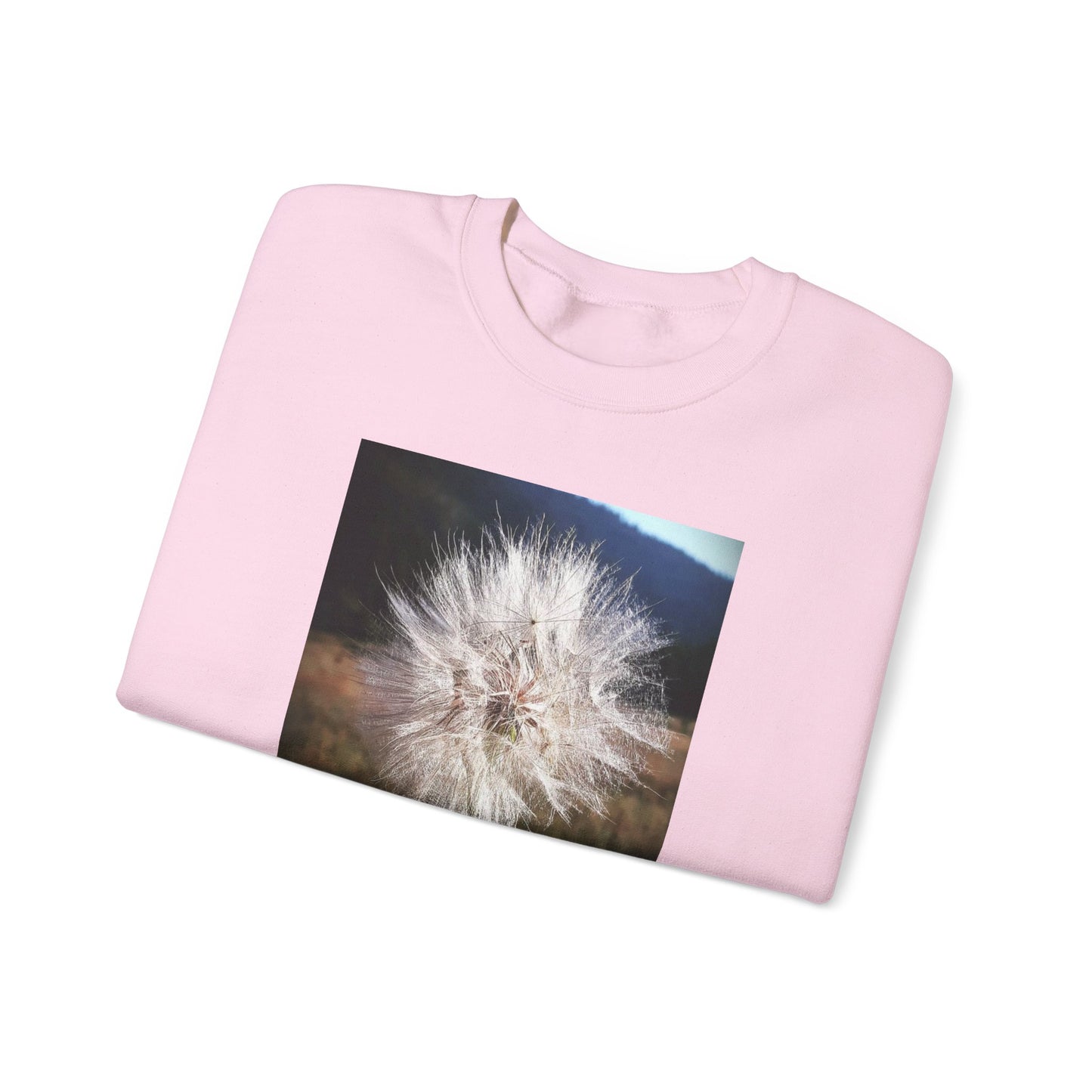 Dandelion sweatshirt