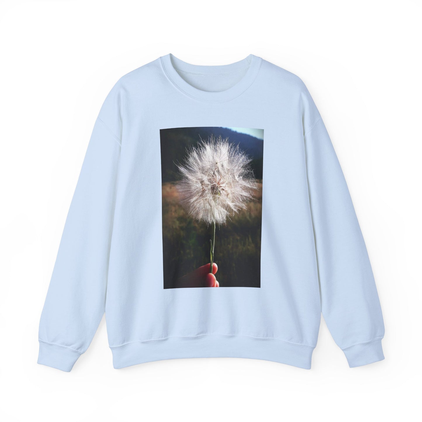 Dandelion sweatshirt