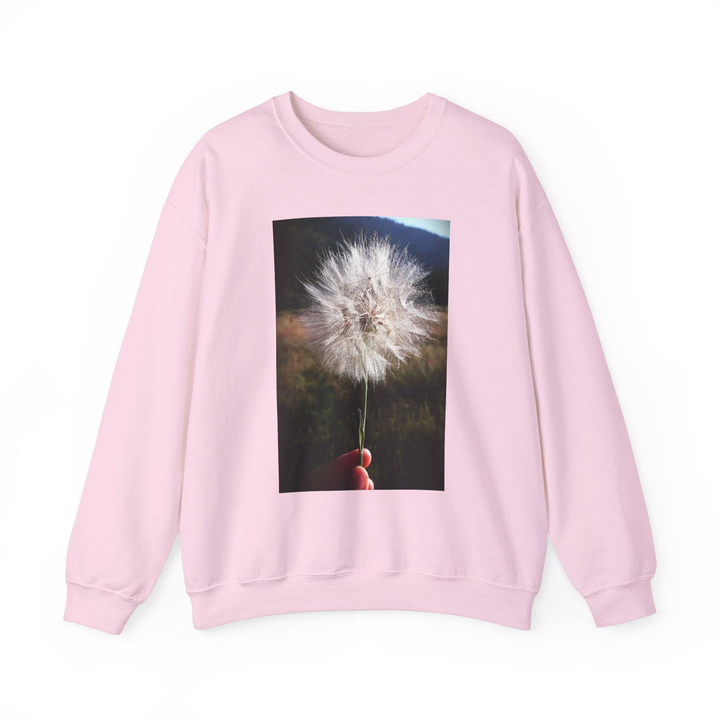 Dandelion sweatshirt