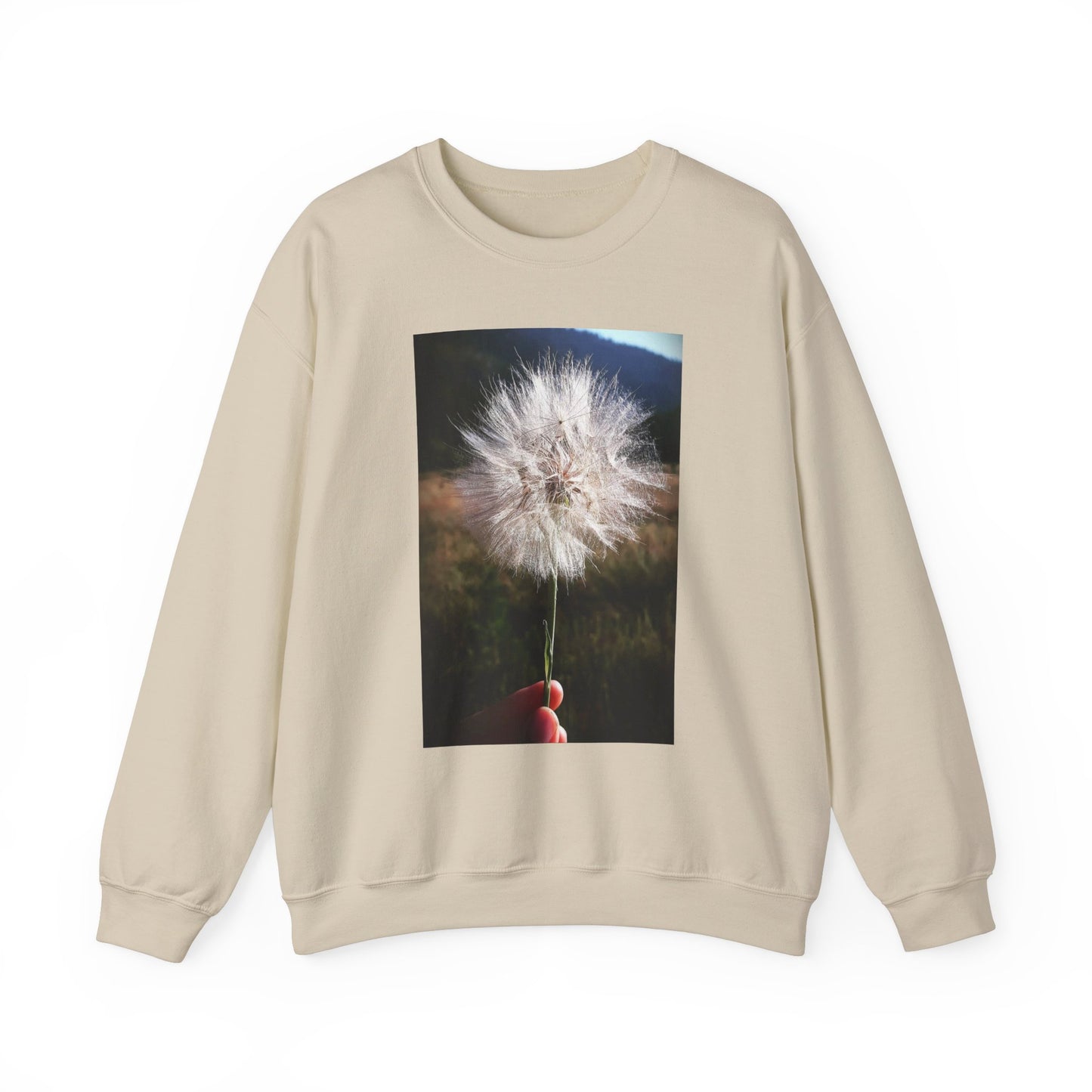 Dandelion sweatshirt