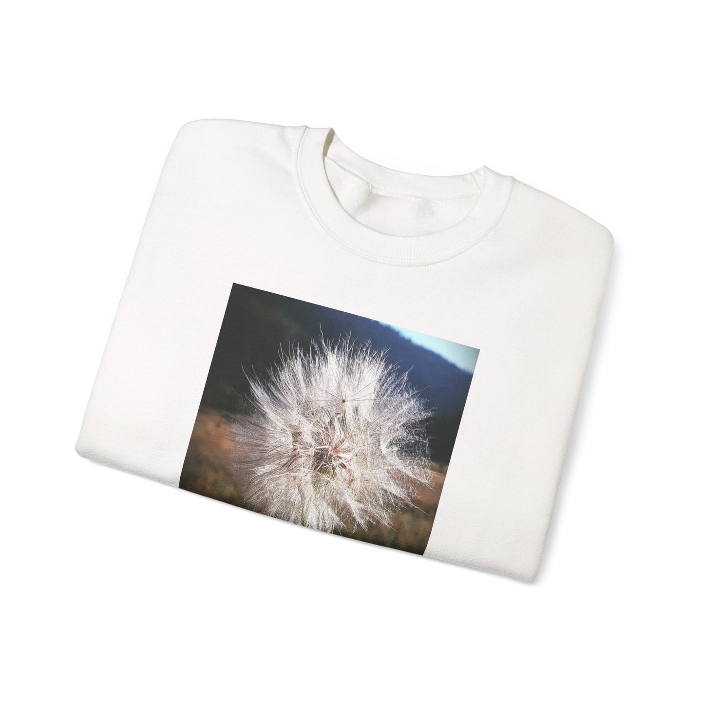 Dandelion sweatshirt